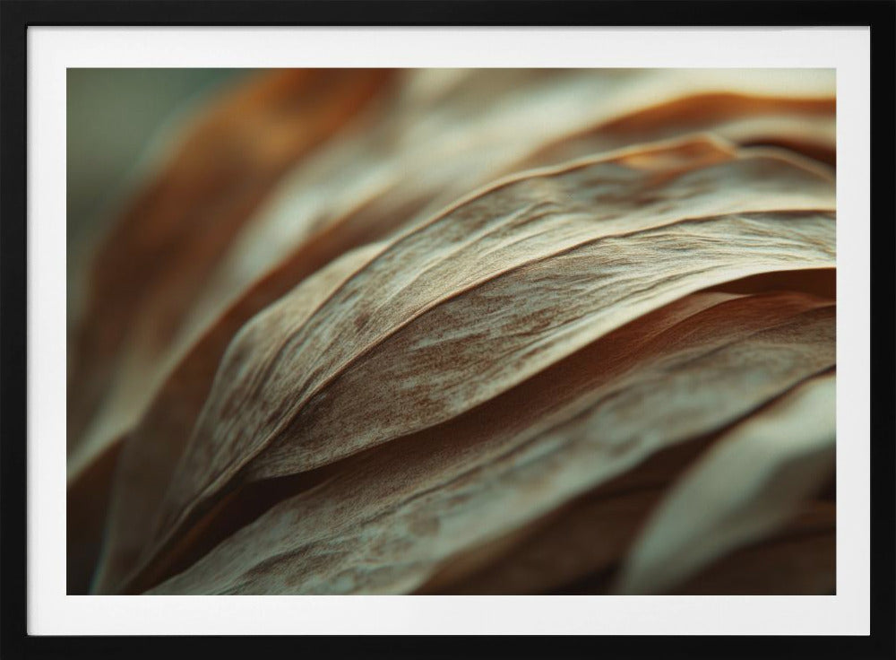 Rippling Petals | Poster