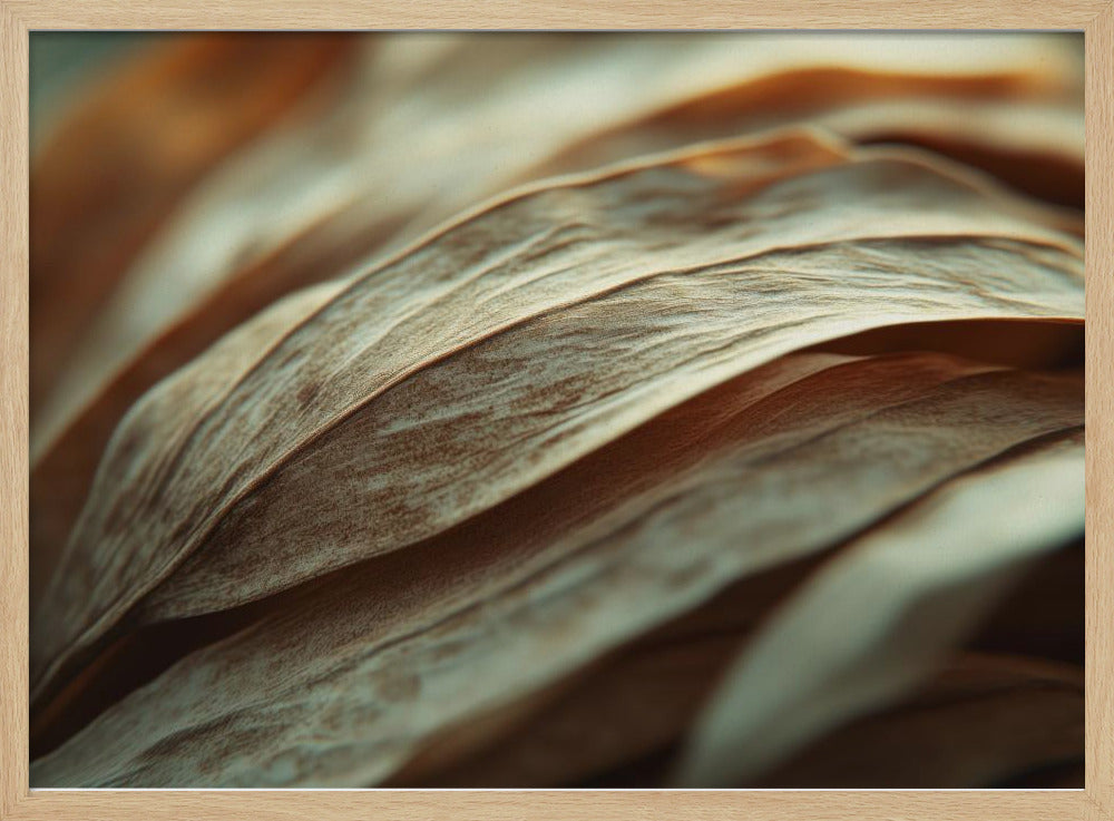 Rippling Petals | Poster