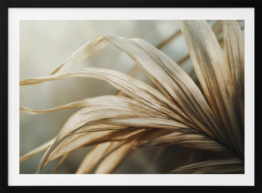 Whispering Leaves | Poster