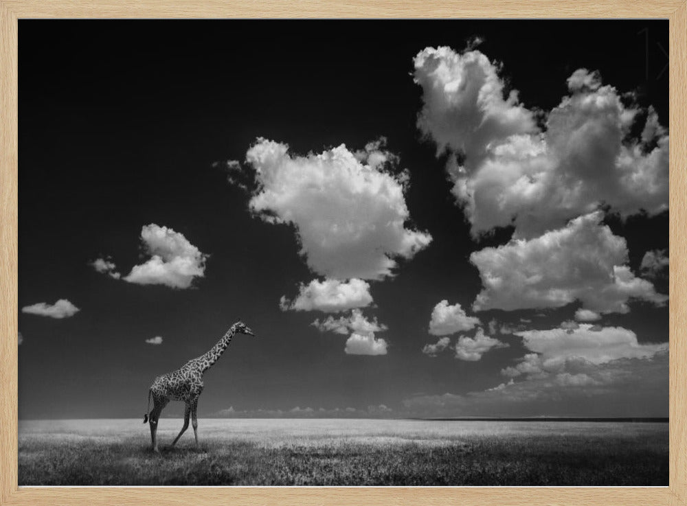 Gone with the Clouds | Poster