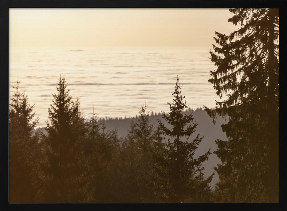 Golden Hour 5 | Poster