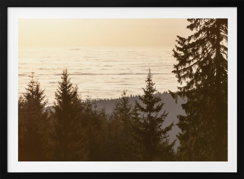 Golden Hour 5 | Poster