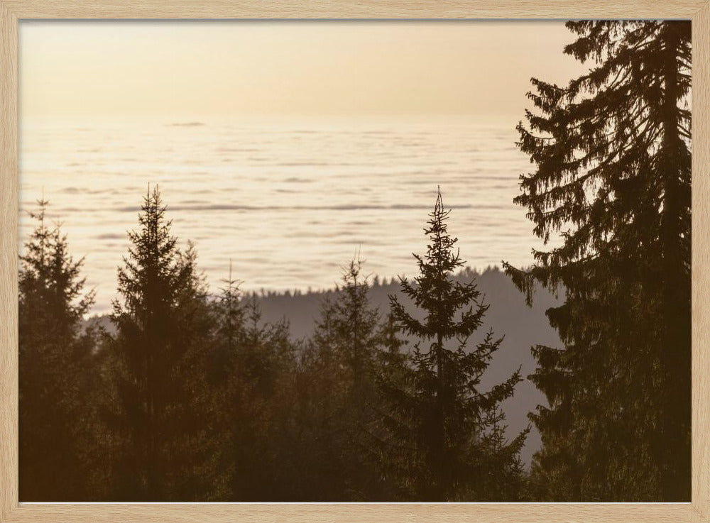 Golden Hour 5 | Poster