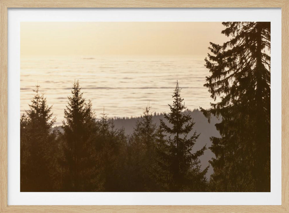 Golden Hour 5 | Poster