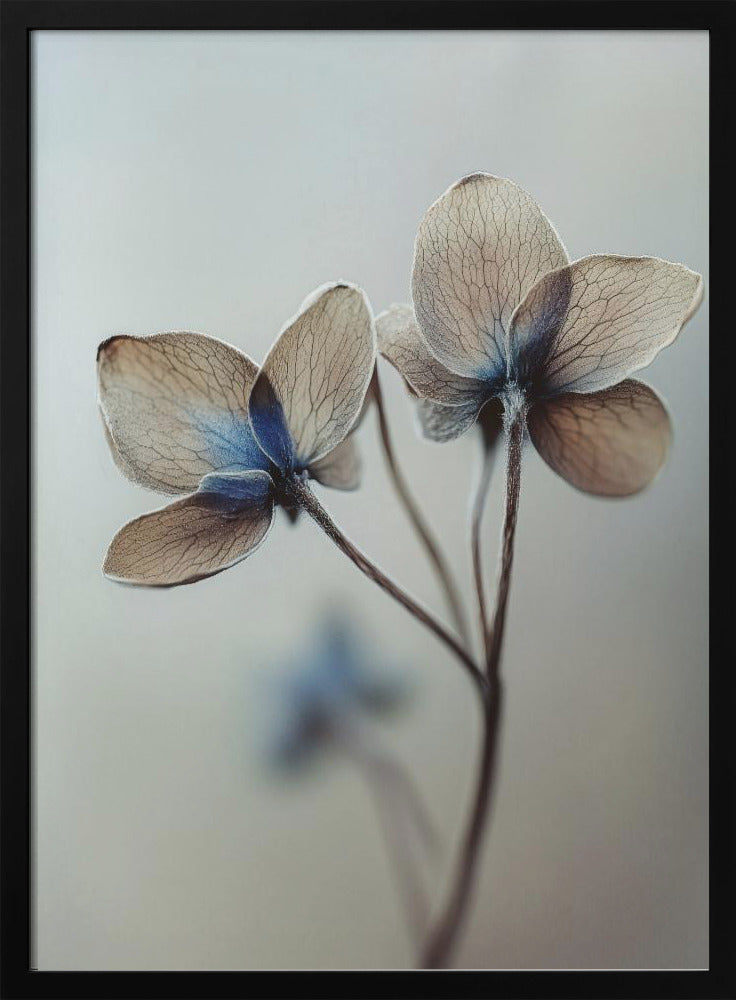 Whispers of Petals | Poster