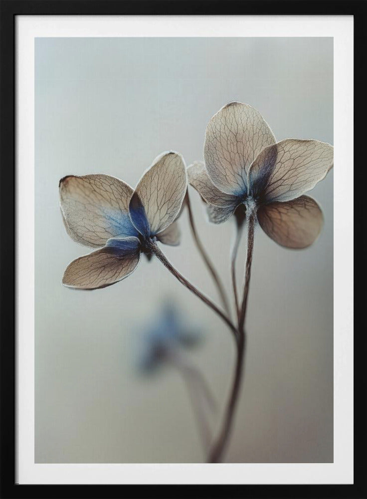 Whispers of Petals | Poster