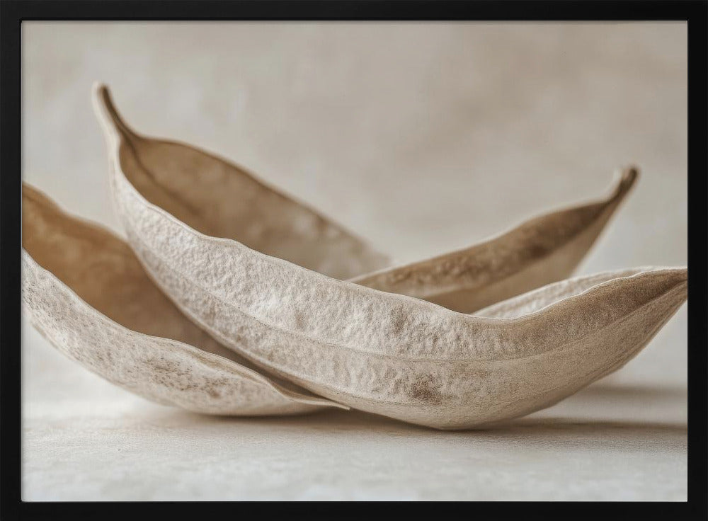 Whispers of Nature | Poster