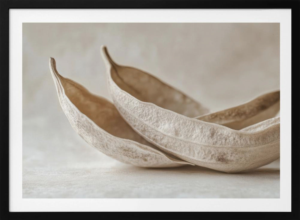 Whispers of Nature | Poster