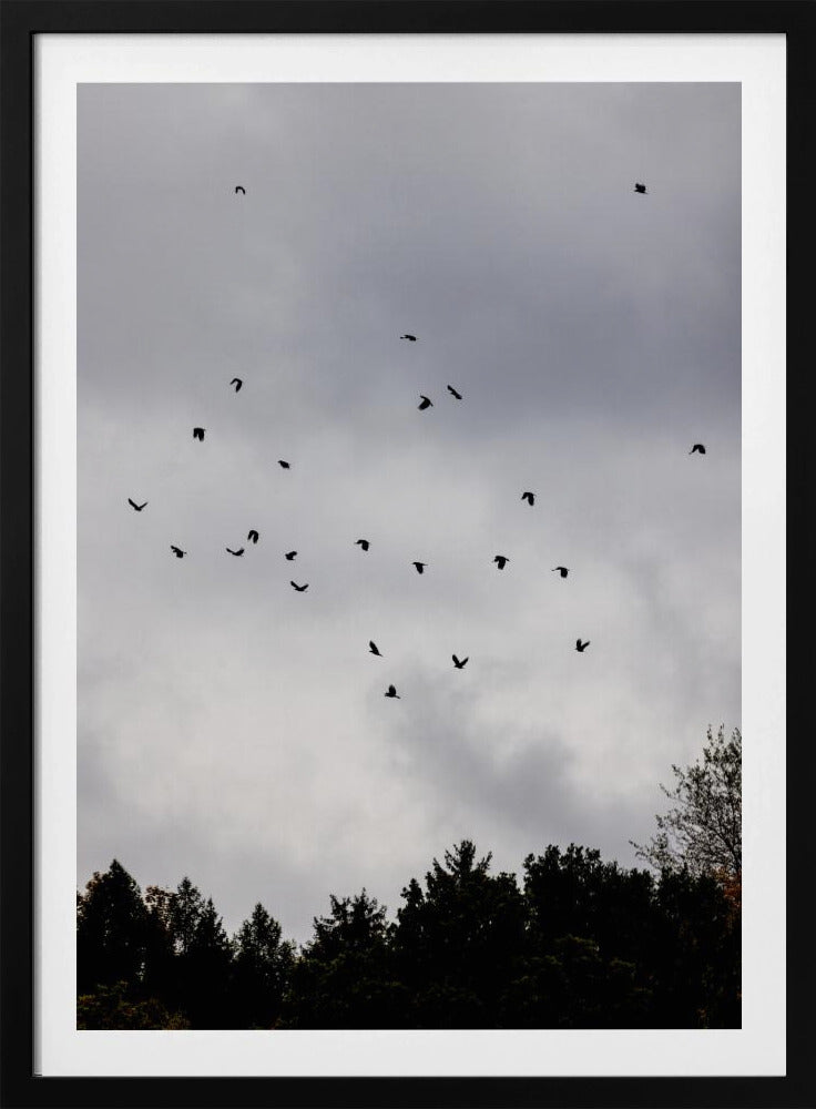 Birds and Clouds 1 | Poster