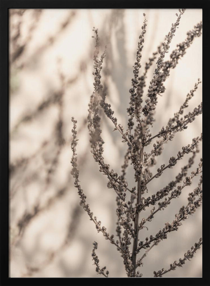 Summer Shadows 7X | Poster