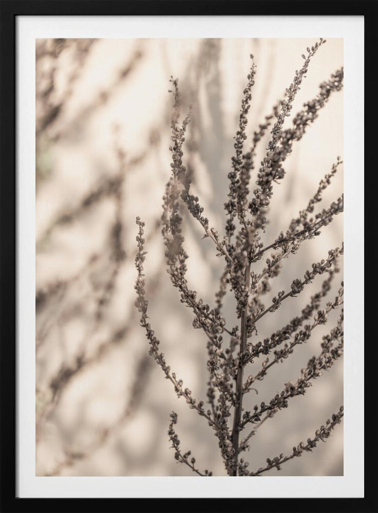 Summer Shadows 7X | Poster