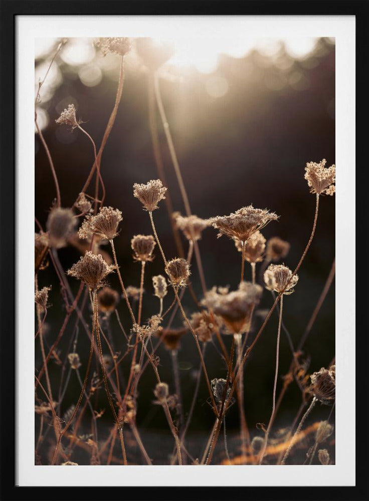 Warm Winter Light 2 | Poster