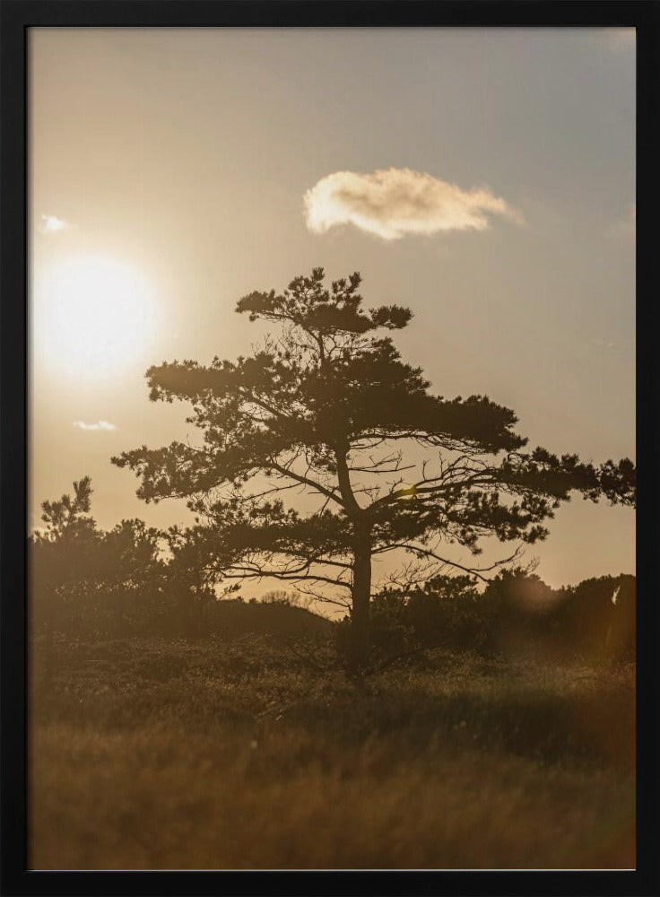 Tree In the Dunes 1 | Poster