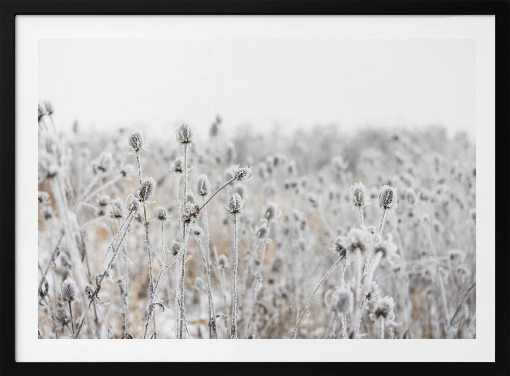 Winter Field 5 | Poster