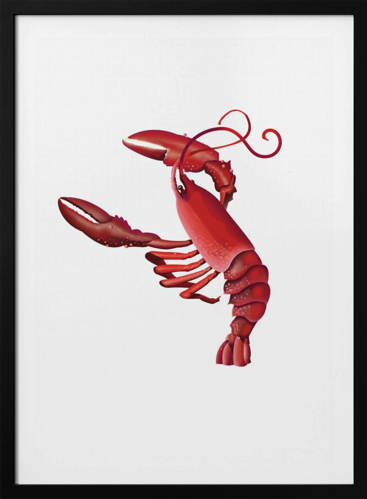 Vibrant Lobster Dance | Poster