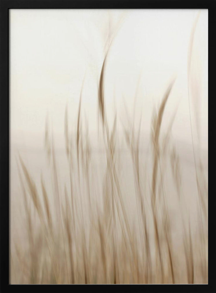 In the wind | Poster