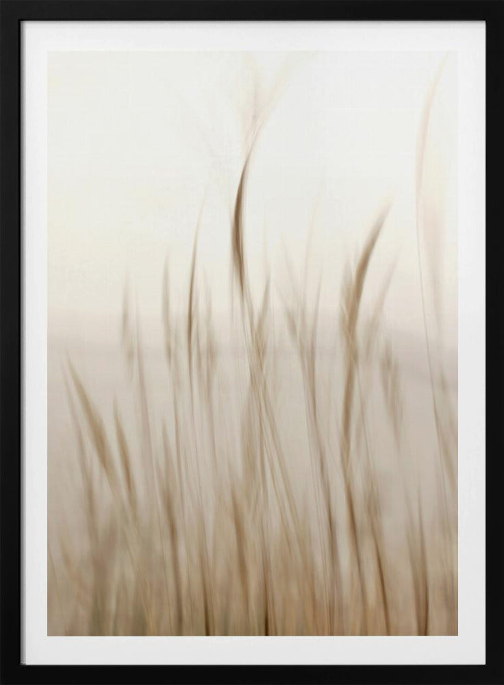 In the wind | Poster