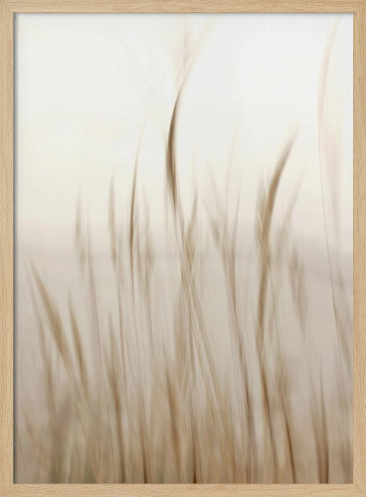 In the wind | Poster