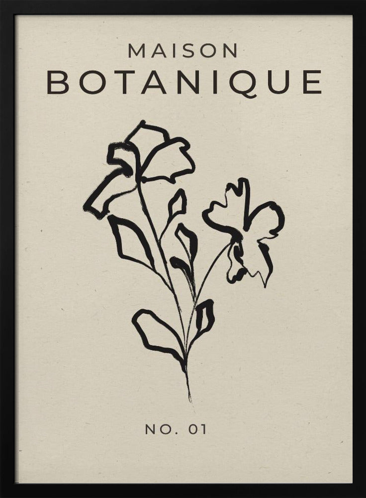 Botanical Sketch | Poster