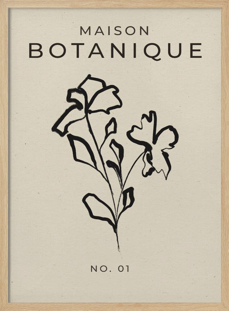 Botanical Sketch | Poster