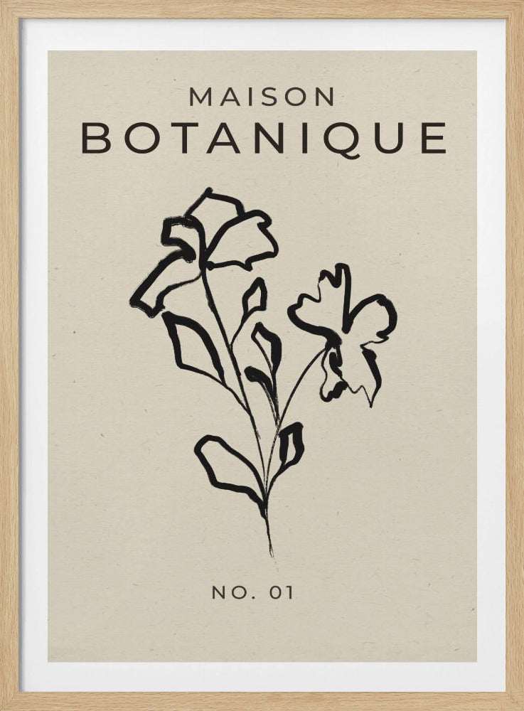 Botanical Sketch | Poster
