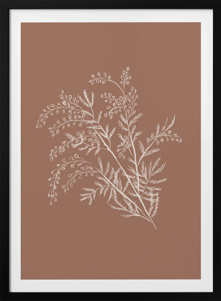 Acacia Botanical Branch | Poster