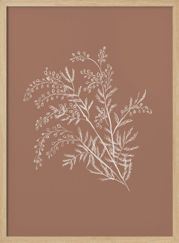 Acacia Botanical Branch | Poster