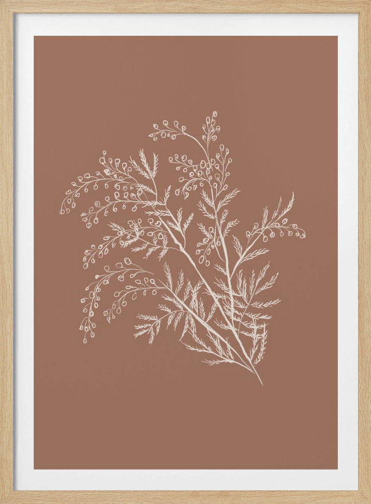 Acacia Botanical Branch | Poster