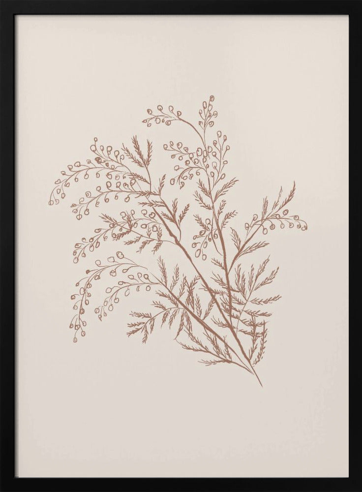 Acacia Botanical Branch | Poster