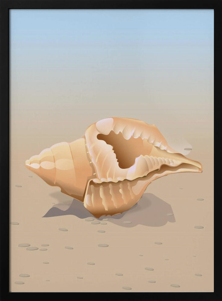 Seaside Shell | Poster