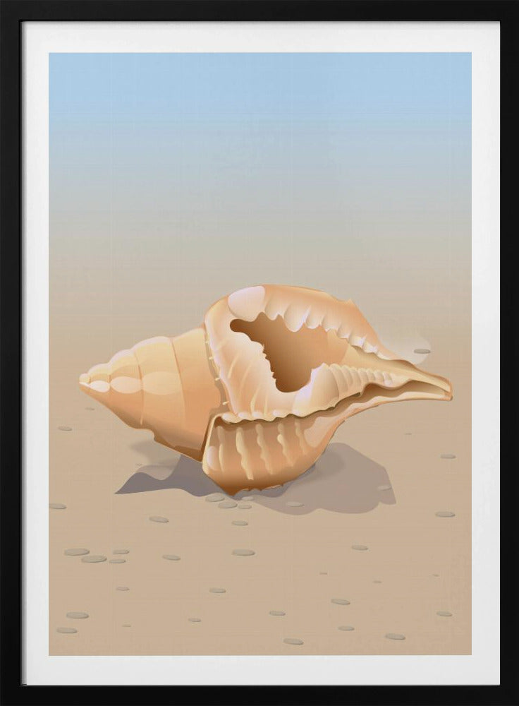 Seaside Shell | Poster