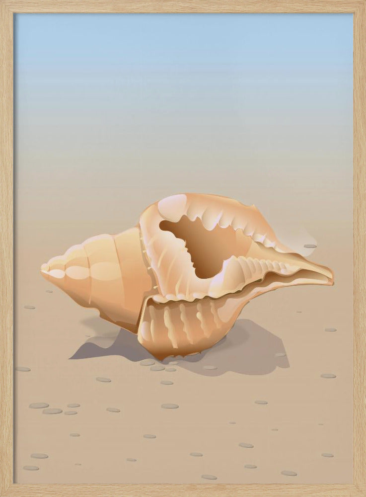 Seaside Shell | Poster