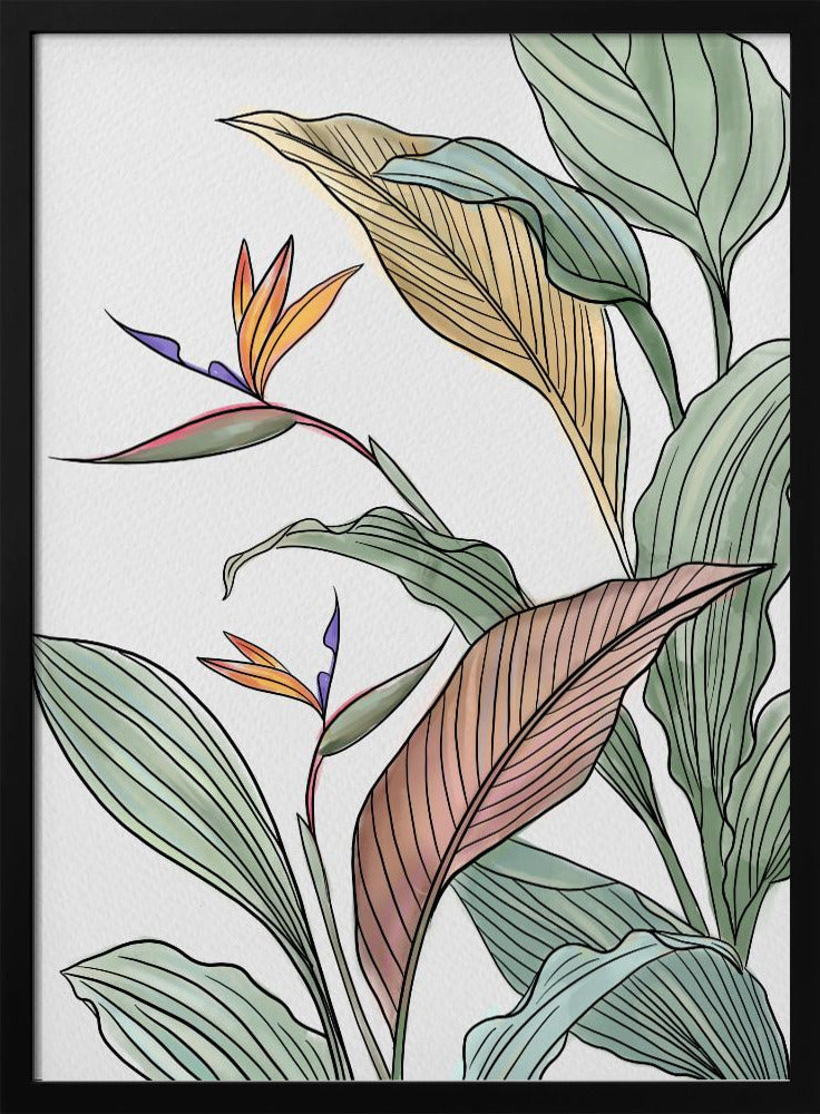 Brids of Paradise | Poster