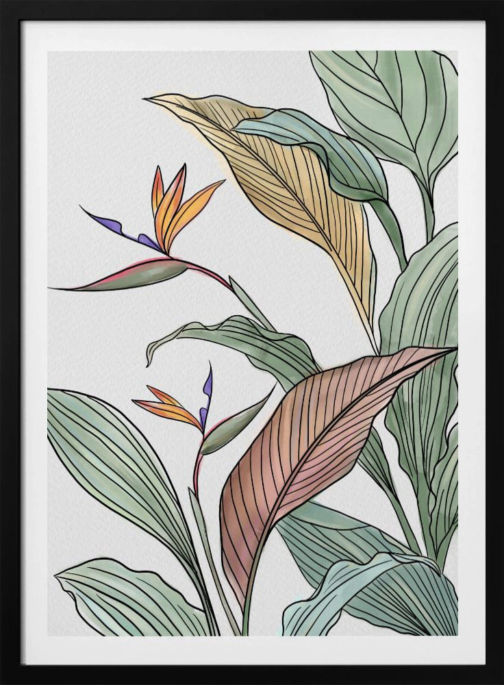 Brids of Paradise | Poster