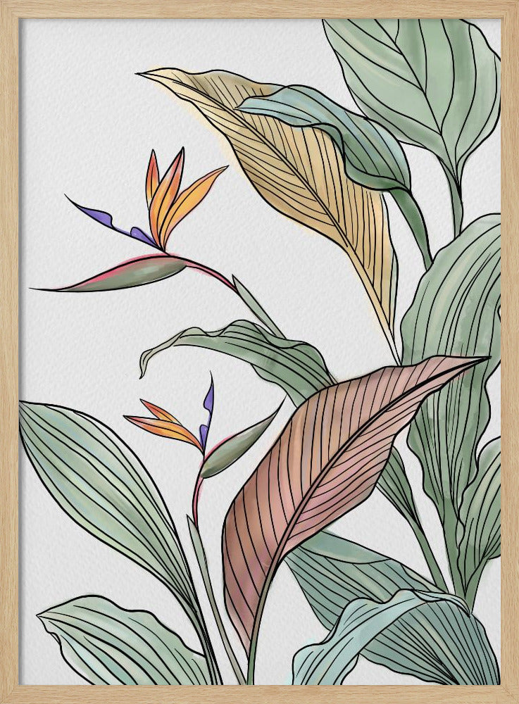 Brids of Paradise | Poster