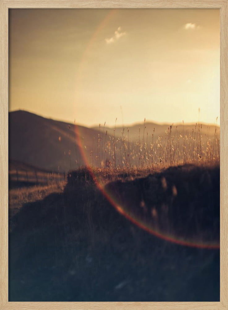 Golden Horizon Glow | Poster