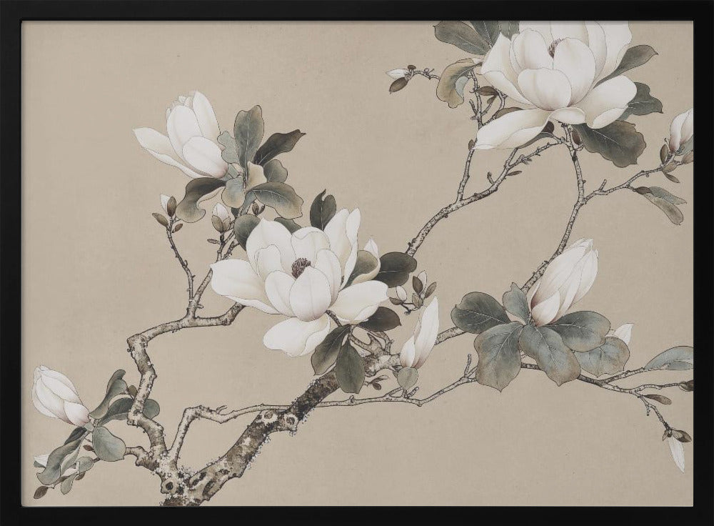 Chinoiserie Magnolia 005 | Poster