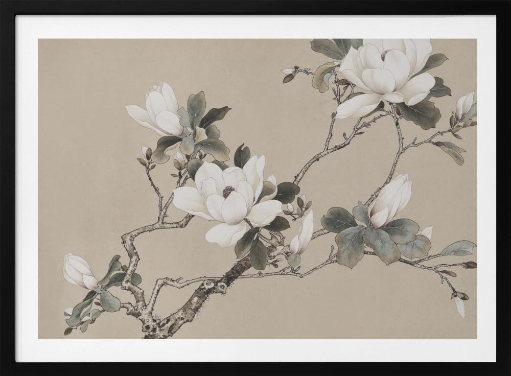 Chinoiserie Magnolia 005 | Poster