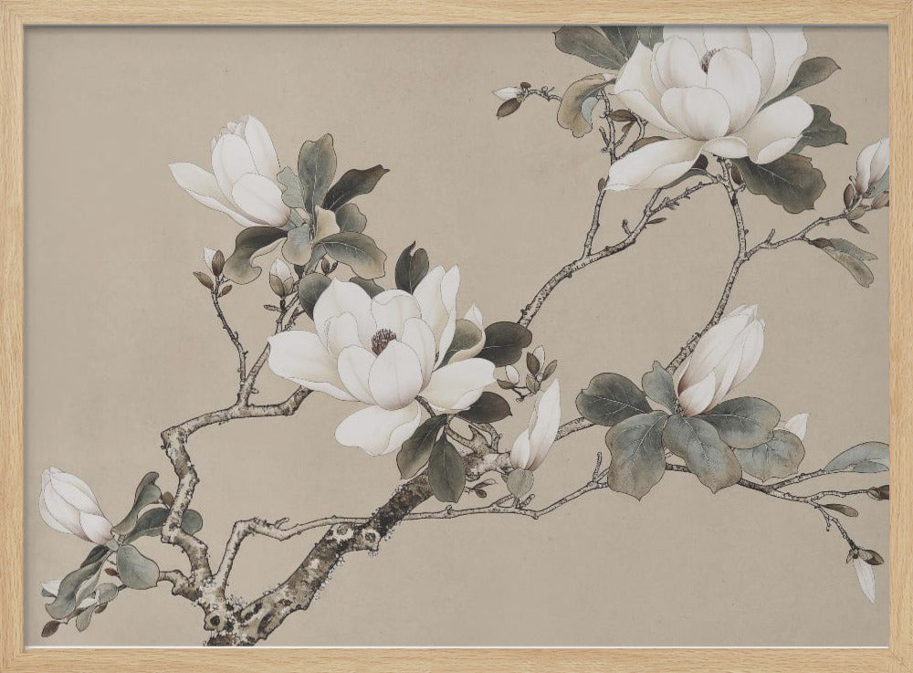 Chinoiserie Magnolia 005 | Poster