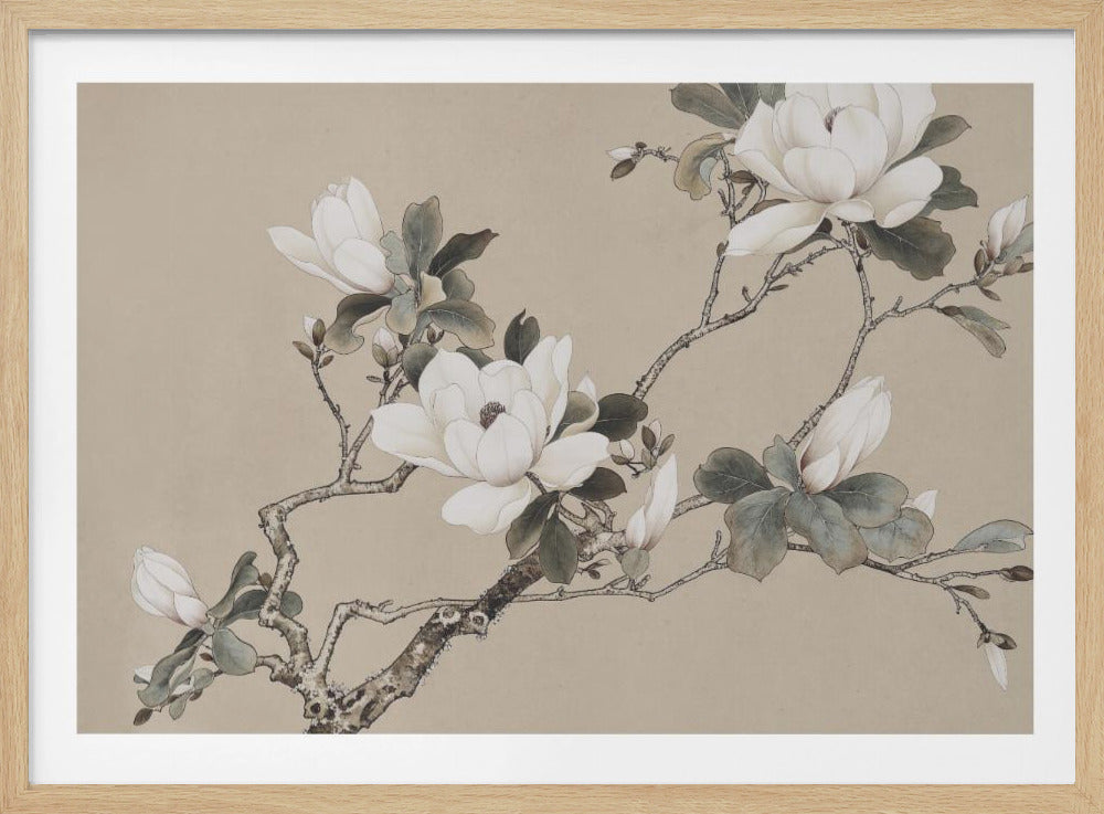 Chinoiserie Magnolia 005 | Poster