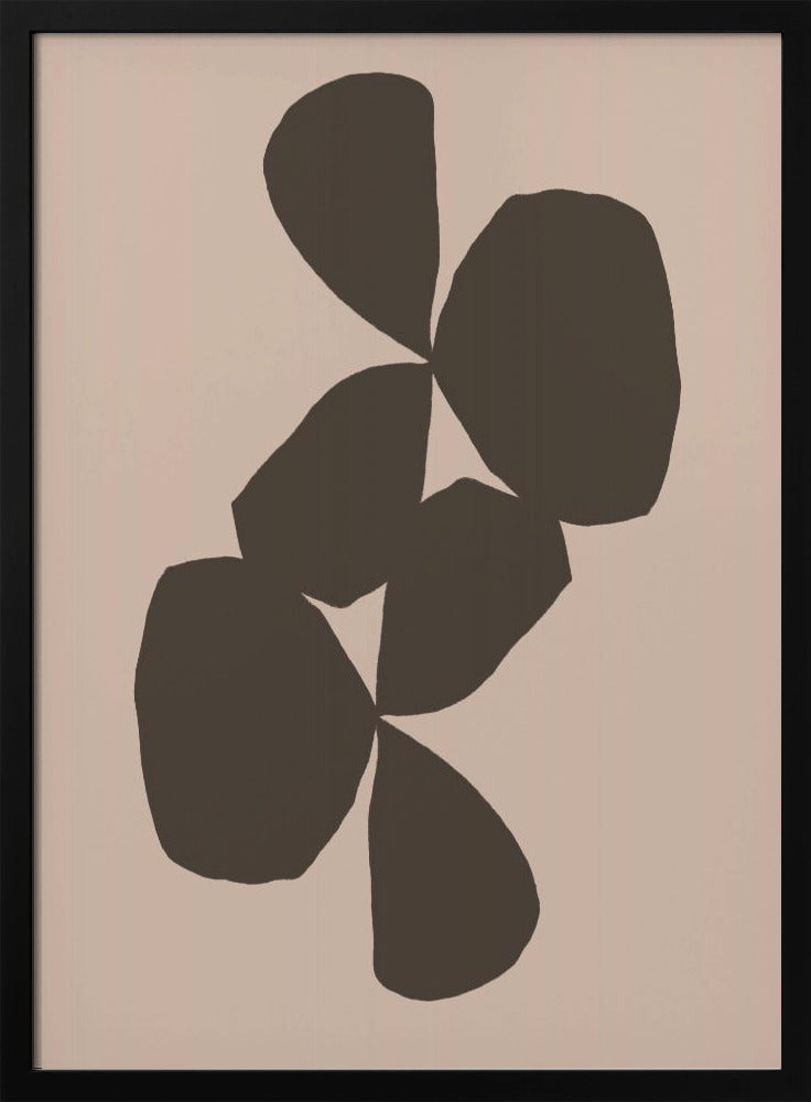 Petals in Contrast | Poster