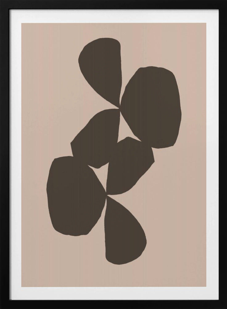 Petals in Contrast | Poster