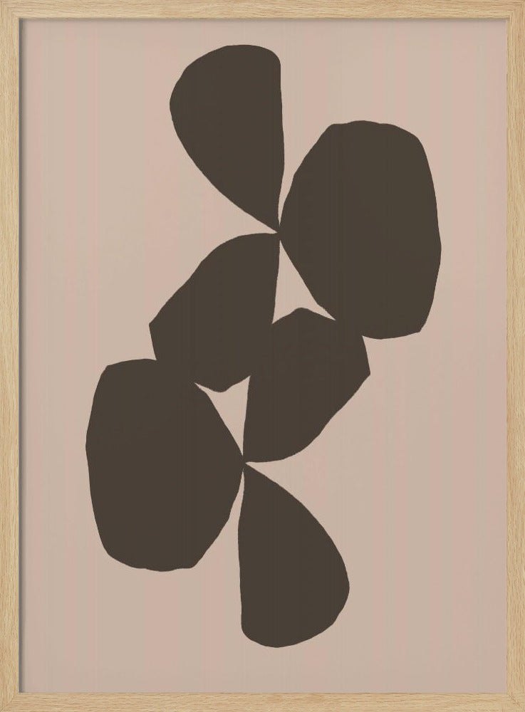 Petals in Contrast | Poster