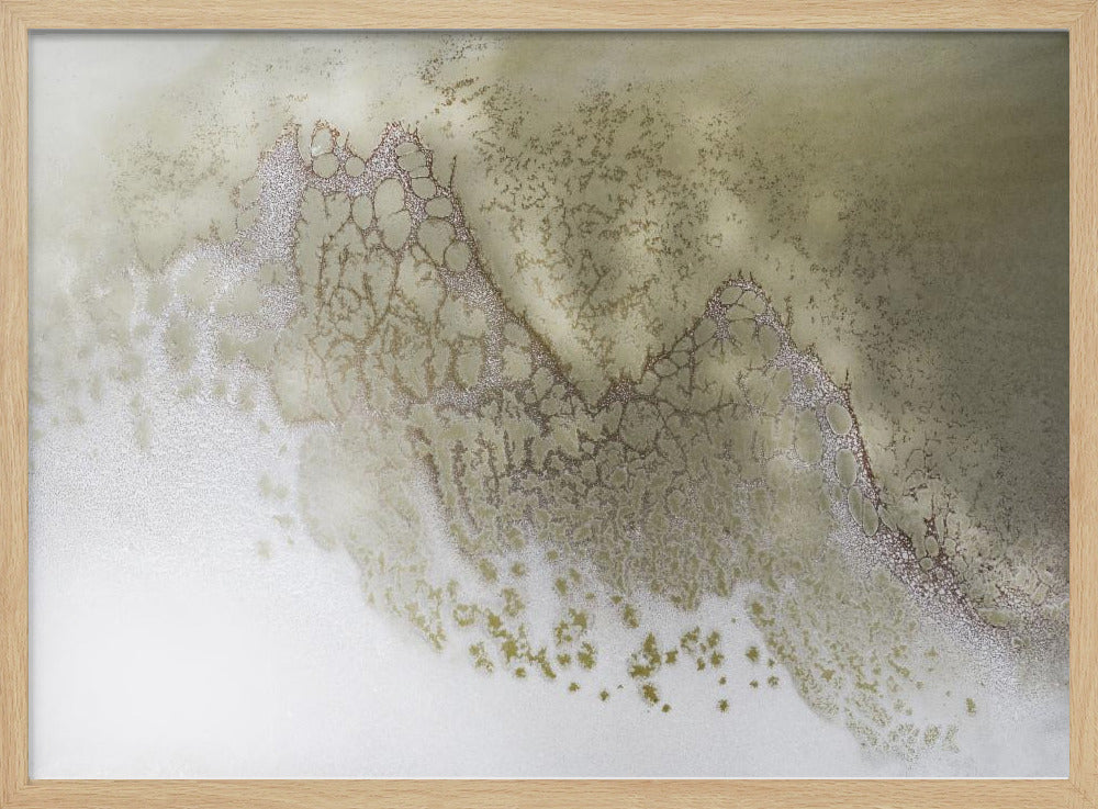 Neutral Tones - Earth Song | Poster