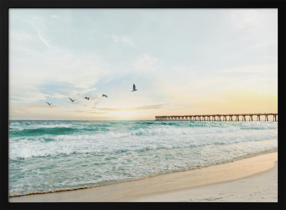 Birds At Pier | Poster