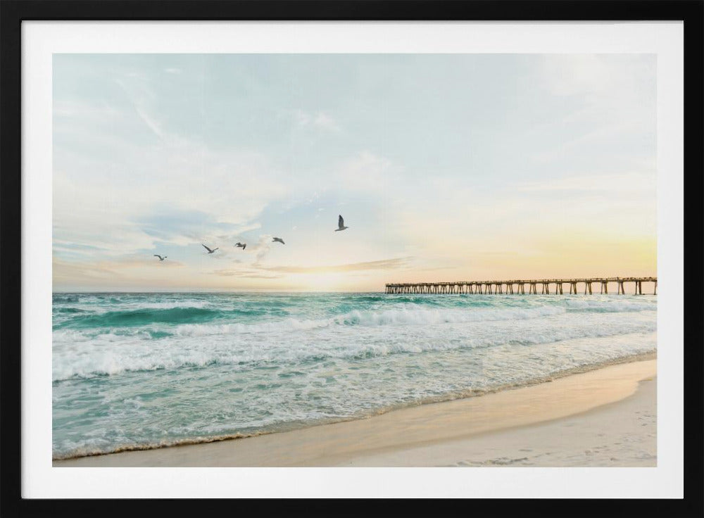 Birds At Pier | Poster