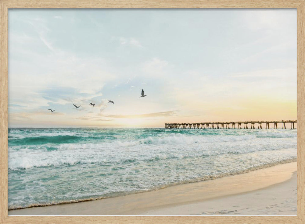 Birds At Pier | Poster