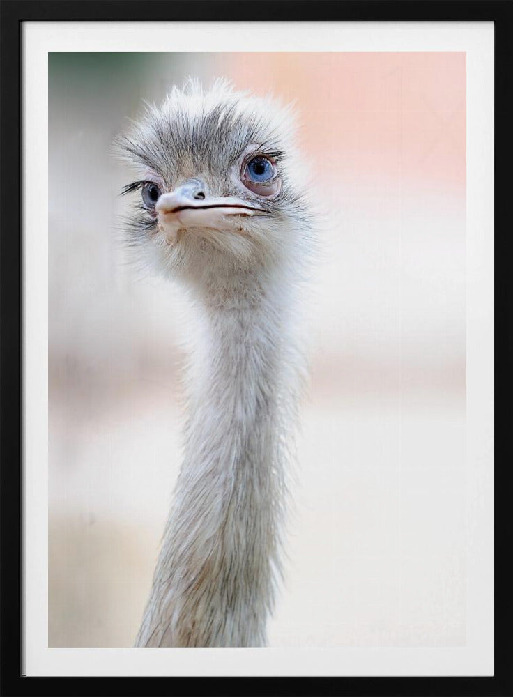 natural beauty | Poster