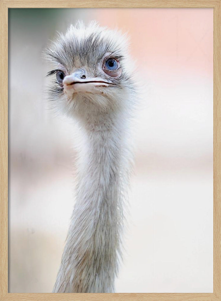 natural beauty | Poster