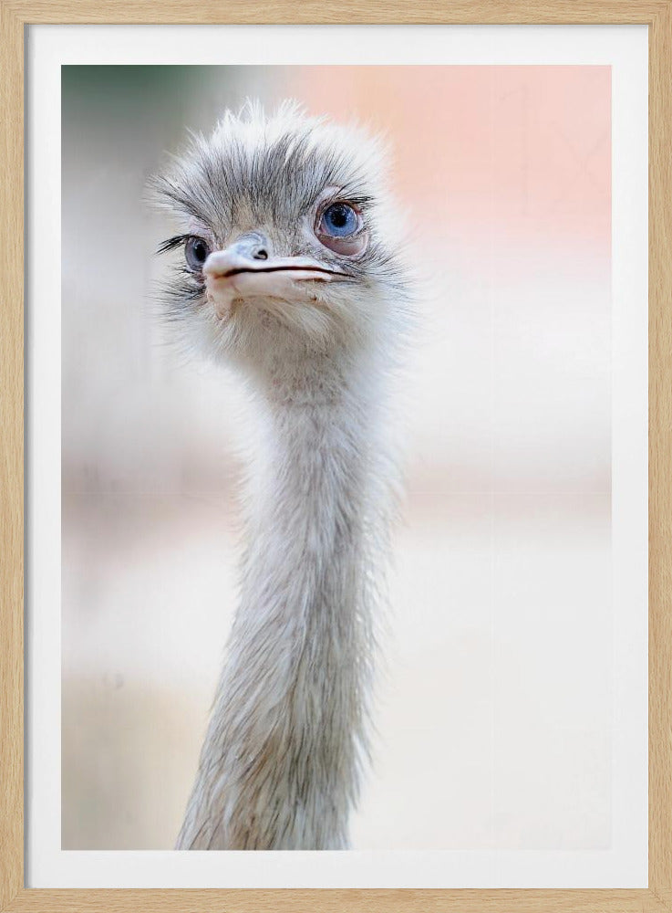 natural beauty | Poster